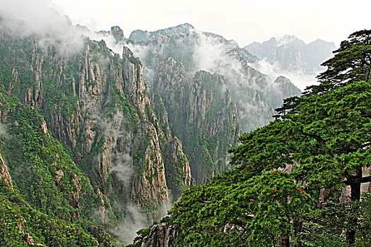 吃什么药会昏迷很久C1B8D97C5-18975